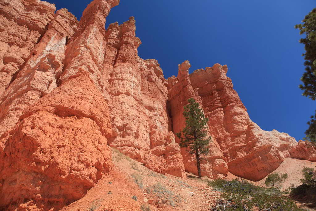 Bryce Canyon NP